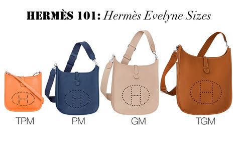 hermes evelyne compact wallet|hermes 101 purse.